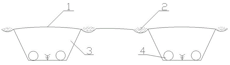 Field dibbling and mulching method for stevia