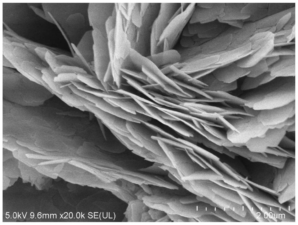 Nanosheet hydrated sodium vanadyl phosphate positive electrode material as well as preparation method and application thereof