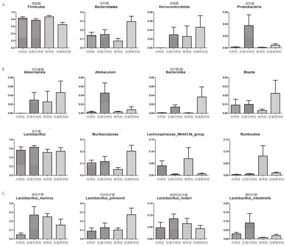 A kind of Lactobacillus johnsonii and application thereof