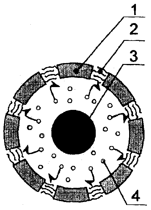 Targeting controlled-release microcapsule capable of inducing environment information quickly