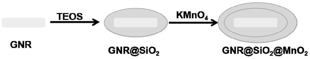 A nano-diagnosis agent, preparation method and application based on gold nanorods