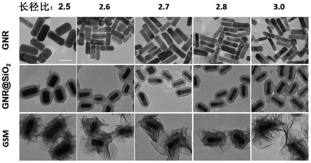A nano-diagnosis agent, preparation method and application based on gold nanorods