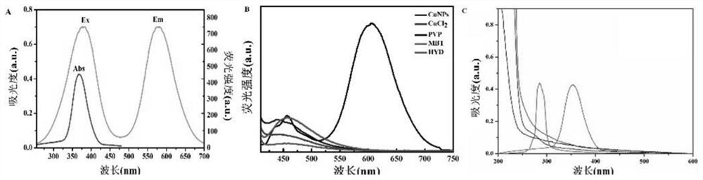 Copper nanoparticle solution as well as preparation method and application thereof