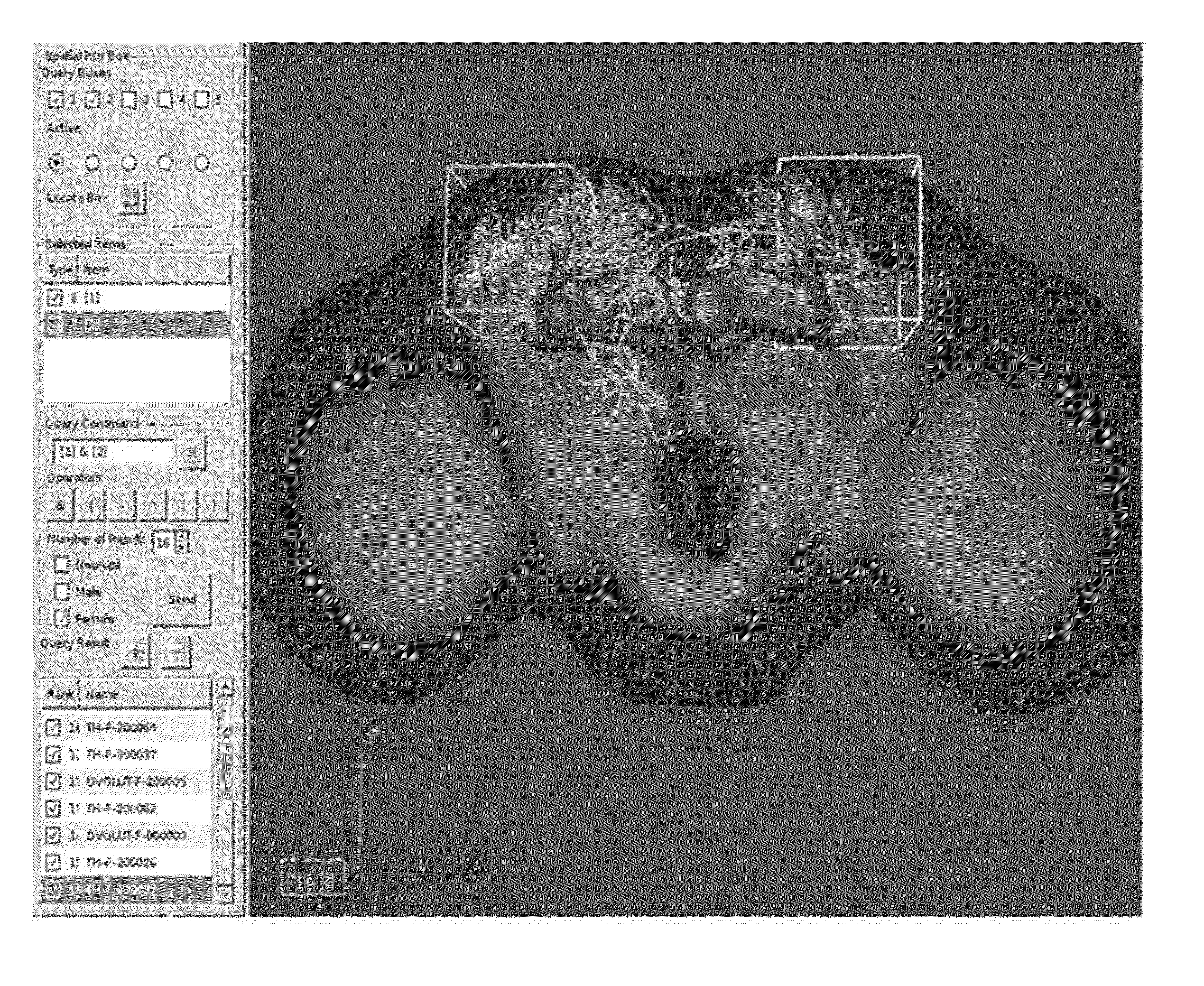 Method for Searching and Constructing 3D Image Database