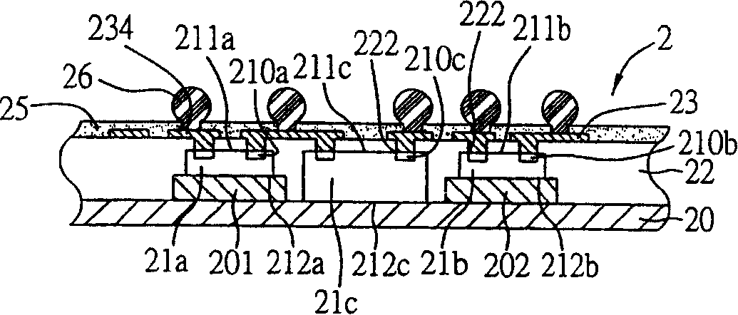 Chip embedding bury type packaging structure