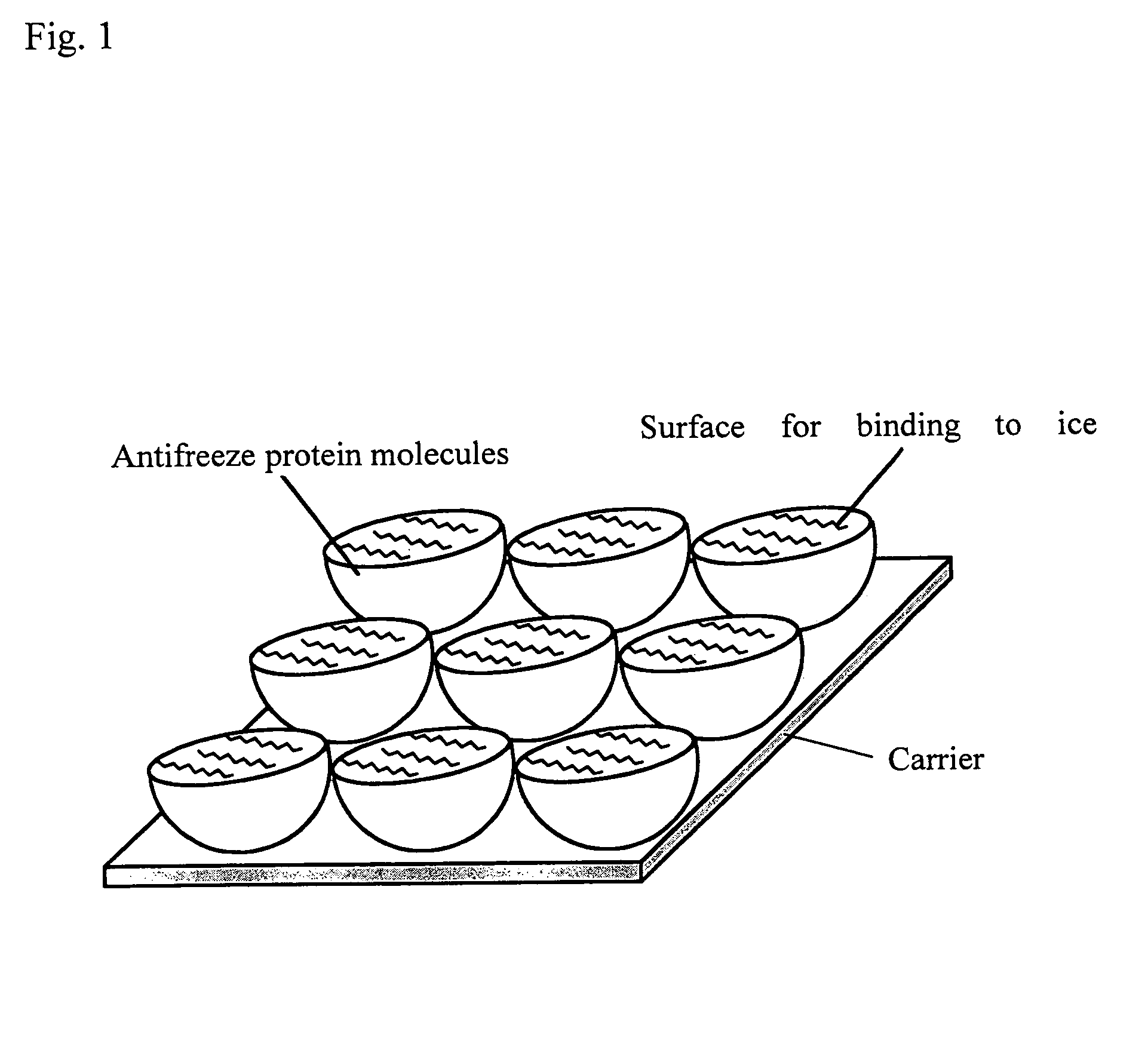 Material for promoting the freezing of water or hydrous substance