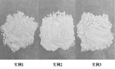 Green preparation method of functional protein powder and product