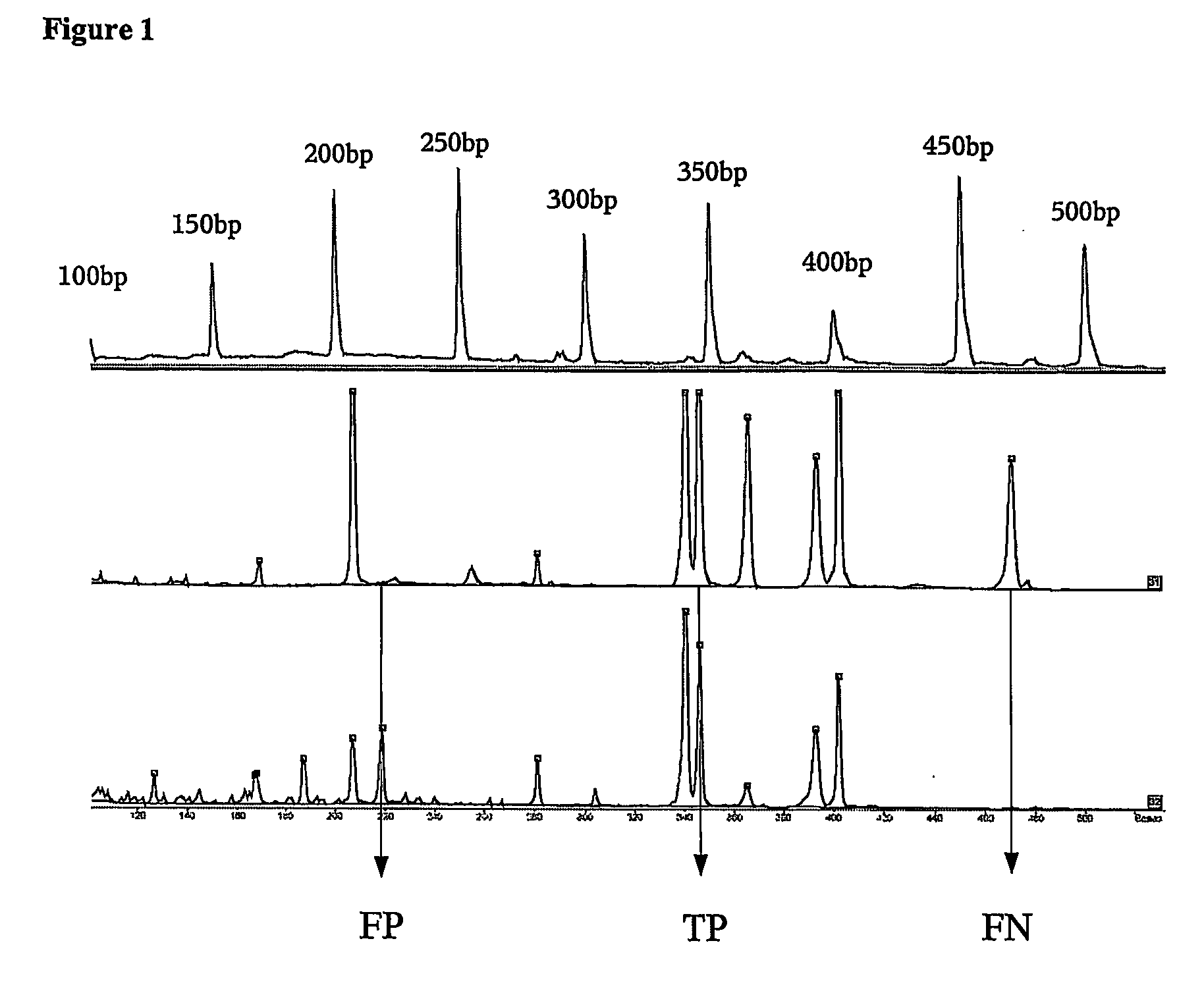 Method for amplification of nucleic acids of low complexity