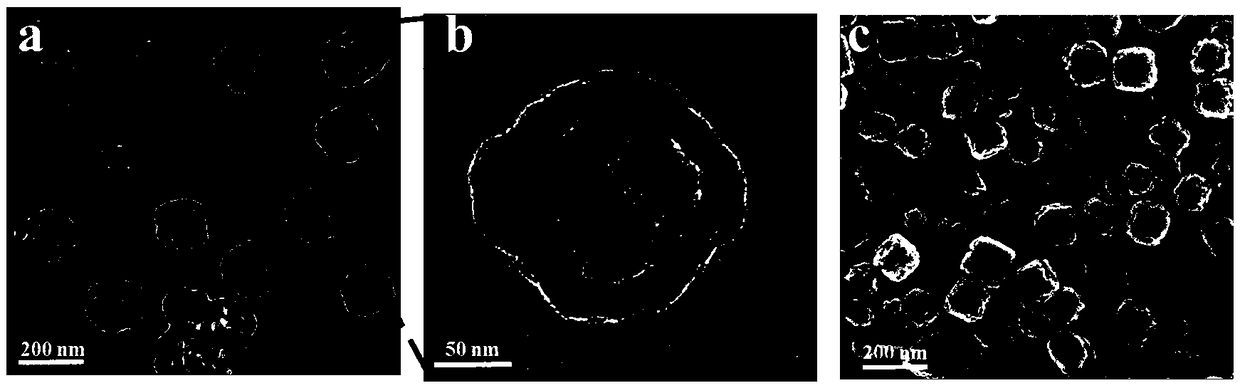 Nano-particle for improving tumor tissue penetrability, preparation method of nano-particle and application of nano-particle