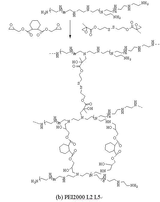 Application of hydroxyl-containing crosslinked polymer guanidinated product in gene transfer