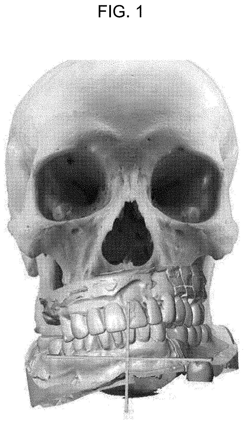Digital three-dimensional tooth model system
