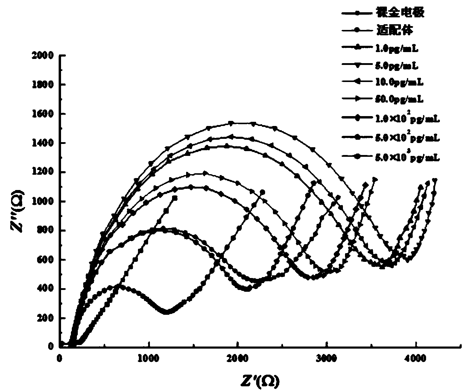 Clenbuterol aptamer and electrochemical biosensor of aptamer for detecting clenbuterol