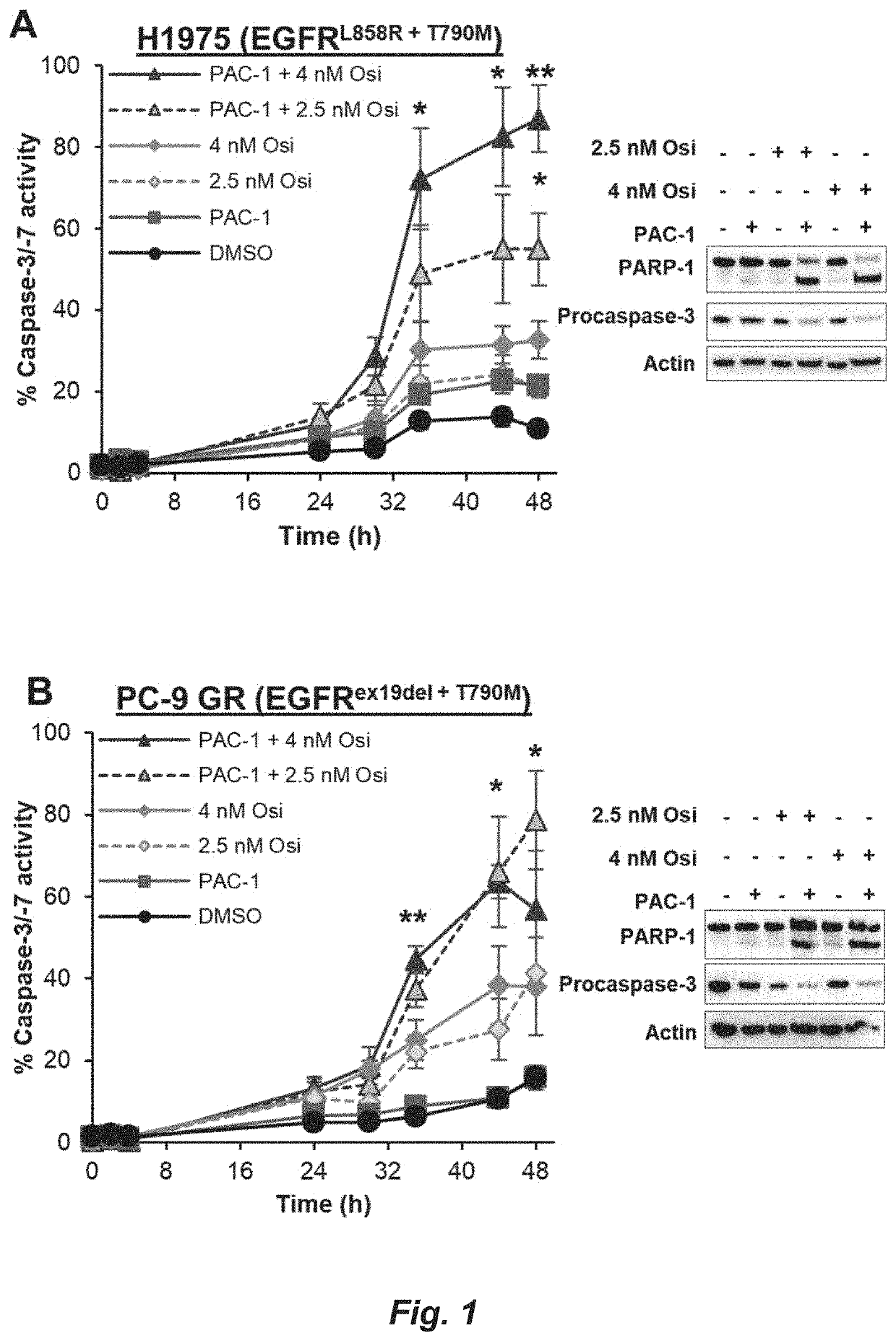 Cancer therapy by degrading dual mek signaling