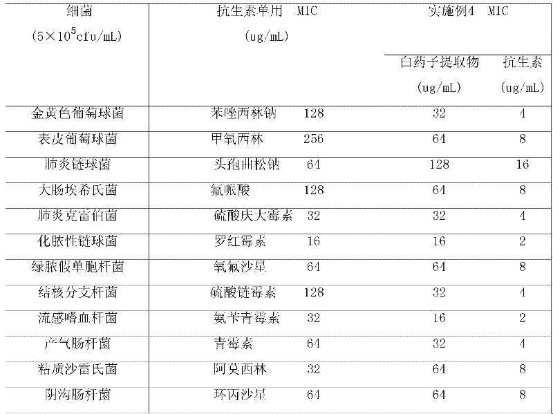 Complex preparation of stephanotis and antibiotic for treating infectious disease