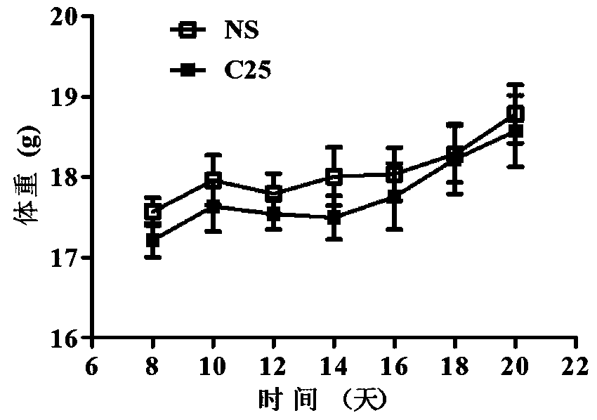 LAG-3 protein affinity cyclopeptide and application thereof