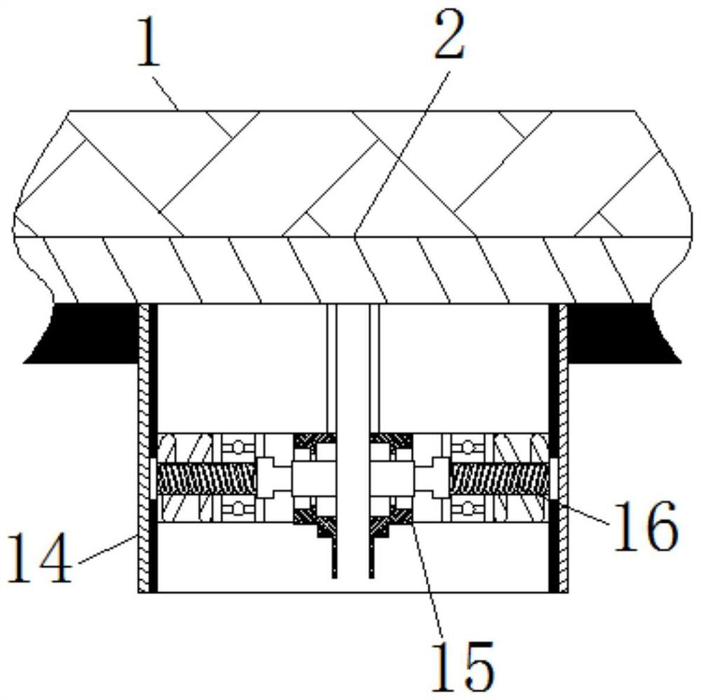 High-end furniture raw material paulownia manufacturing equipment