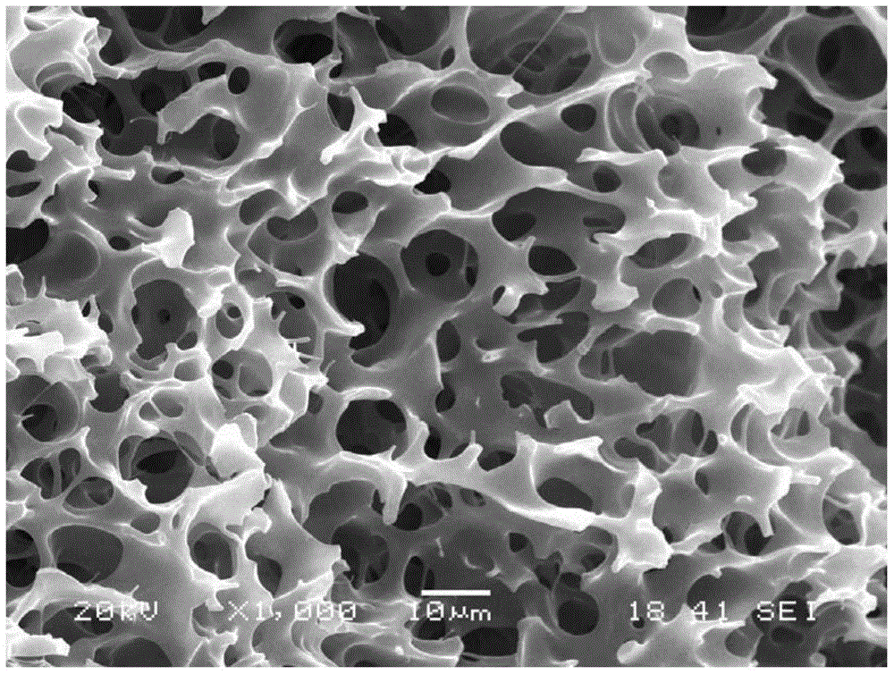 A kind of open-cell polypropylene microcellular foam sheet and production method thereof