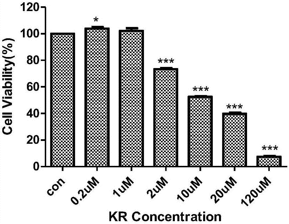 Application of cell cycle blocker KR in human lung cancer cells