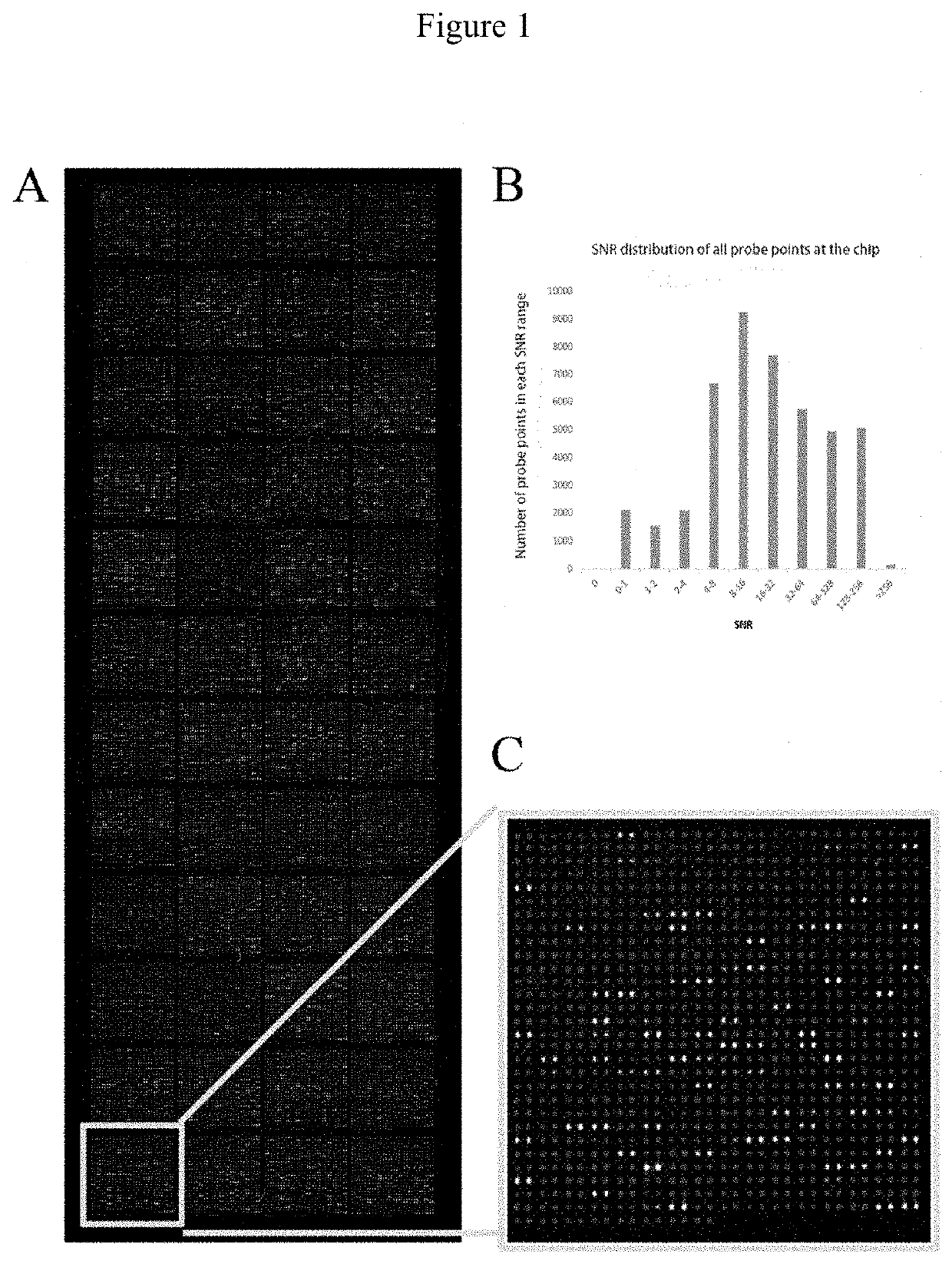 Acpa-negative ra diagnostic marker and application thereof