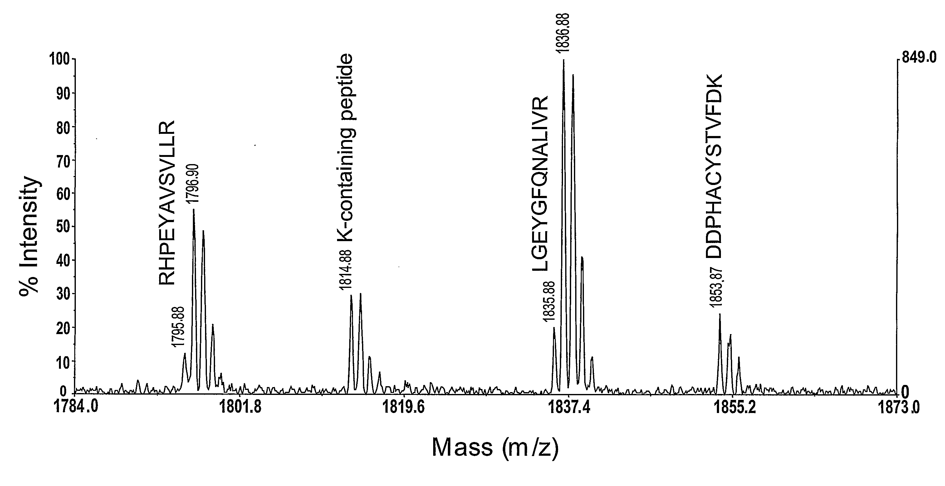 Mass Spectrometry of Arginine-Containing Peptides