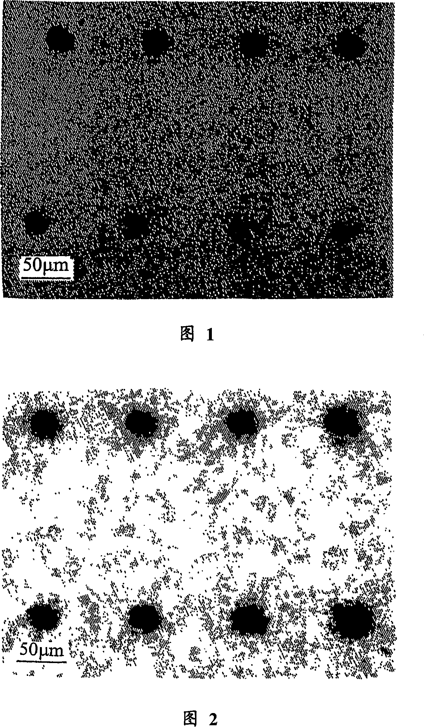 Porous membrane, process for producing porous membrane, solid polymer electrolyte membrane, and fuel cell