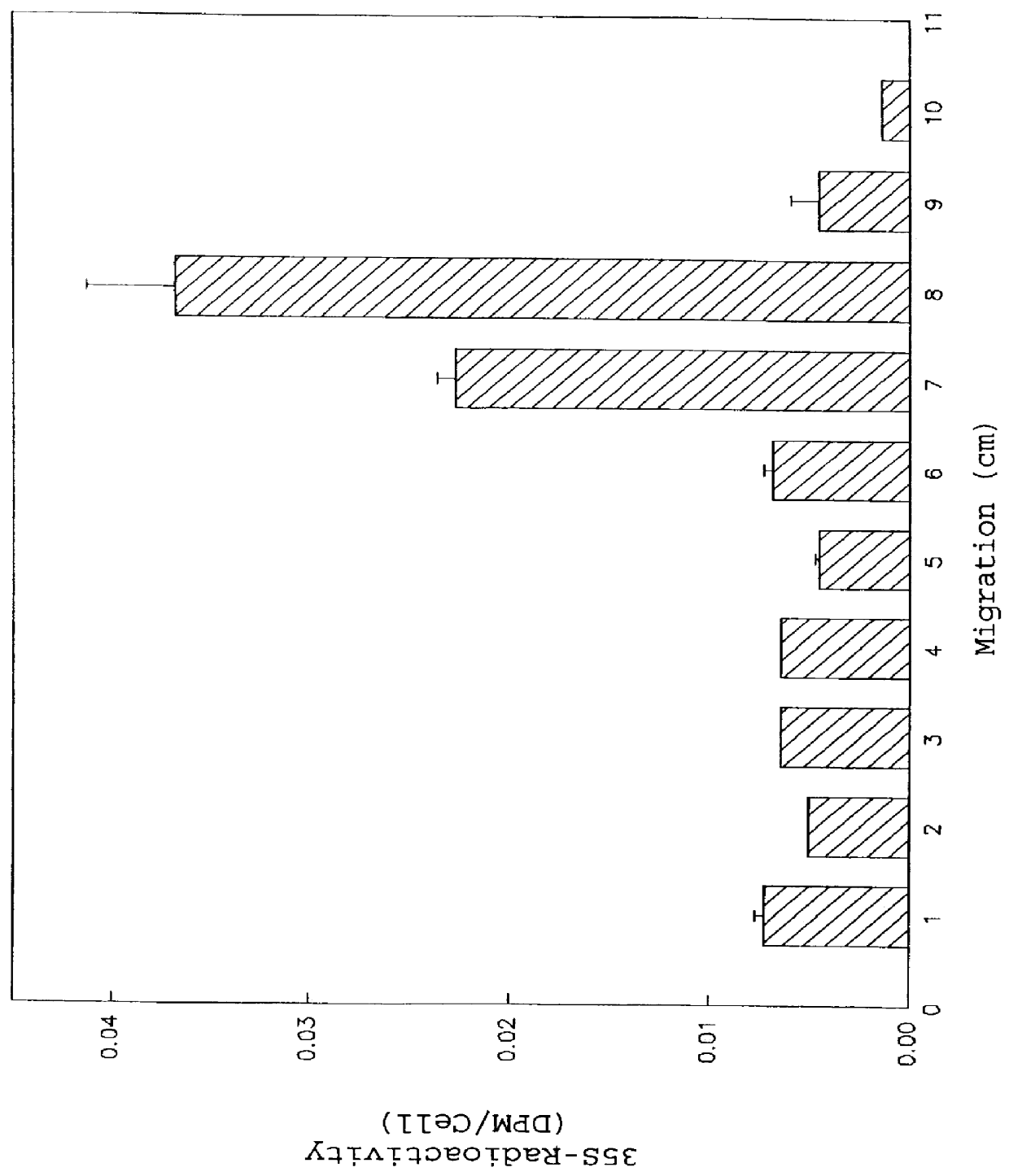 Method and pharmaceutical composition for chondrostimulation with a prostaglandin (e.g. misoprostol) and TGF- beta , optionally in combination with IGF-1