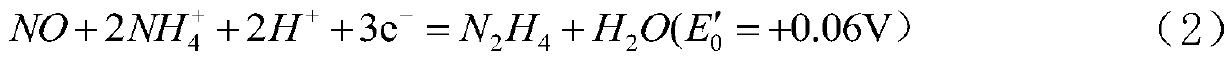 Preservation method of anammox strain