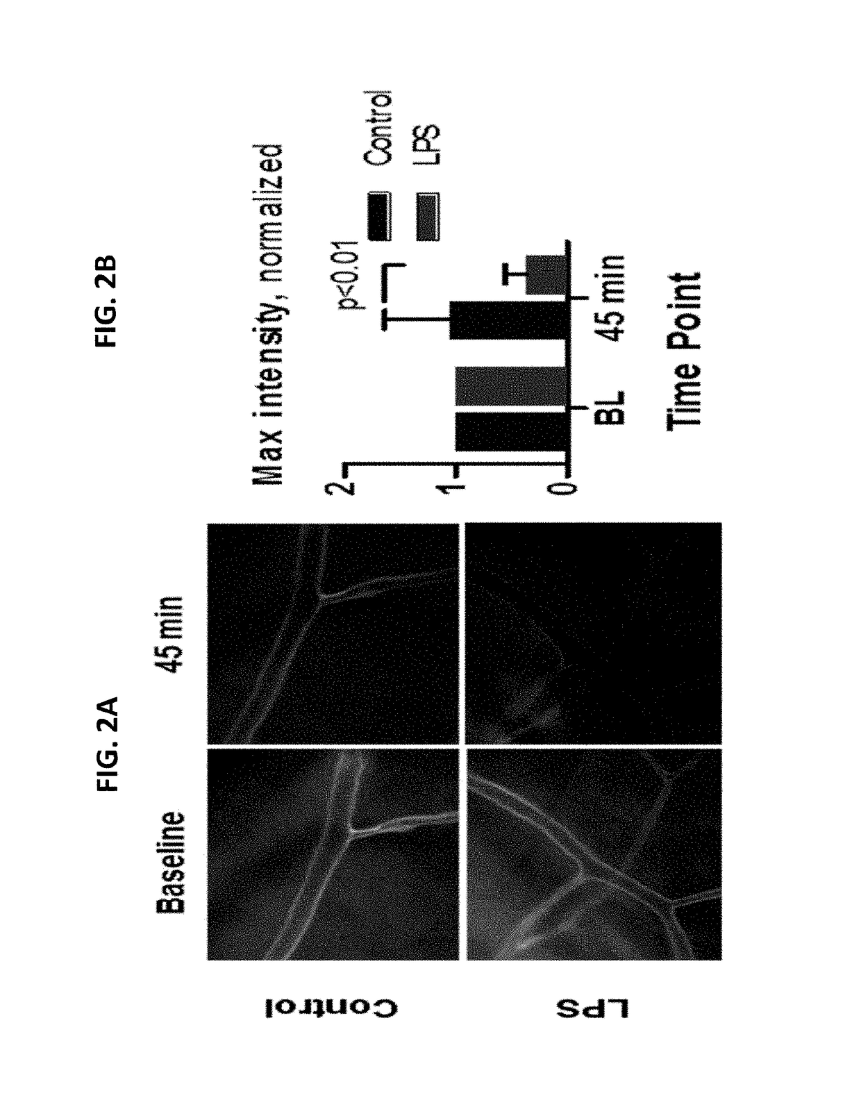 Nanoparticle Compositions and Methods Thereof to Restore Vascular Integrity