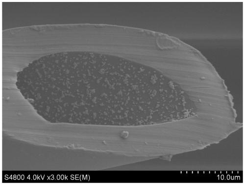 A kind of preparation method of hollow silver-loaded fiber