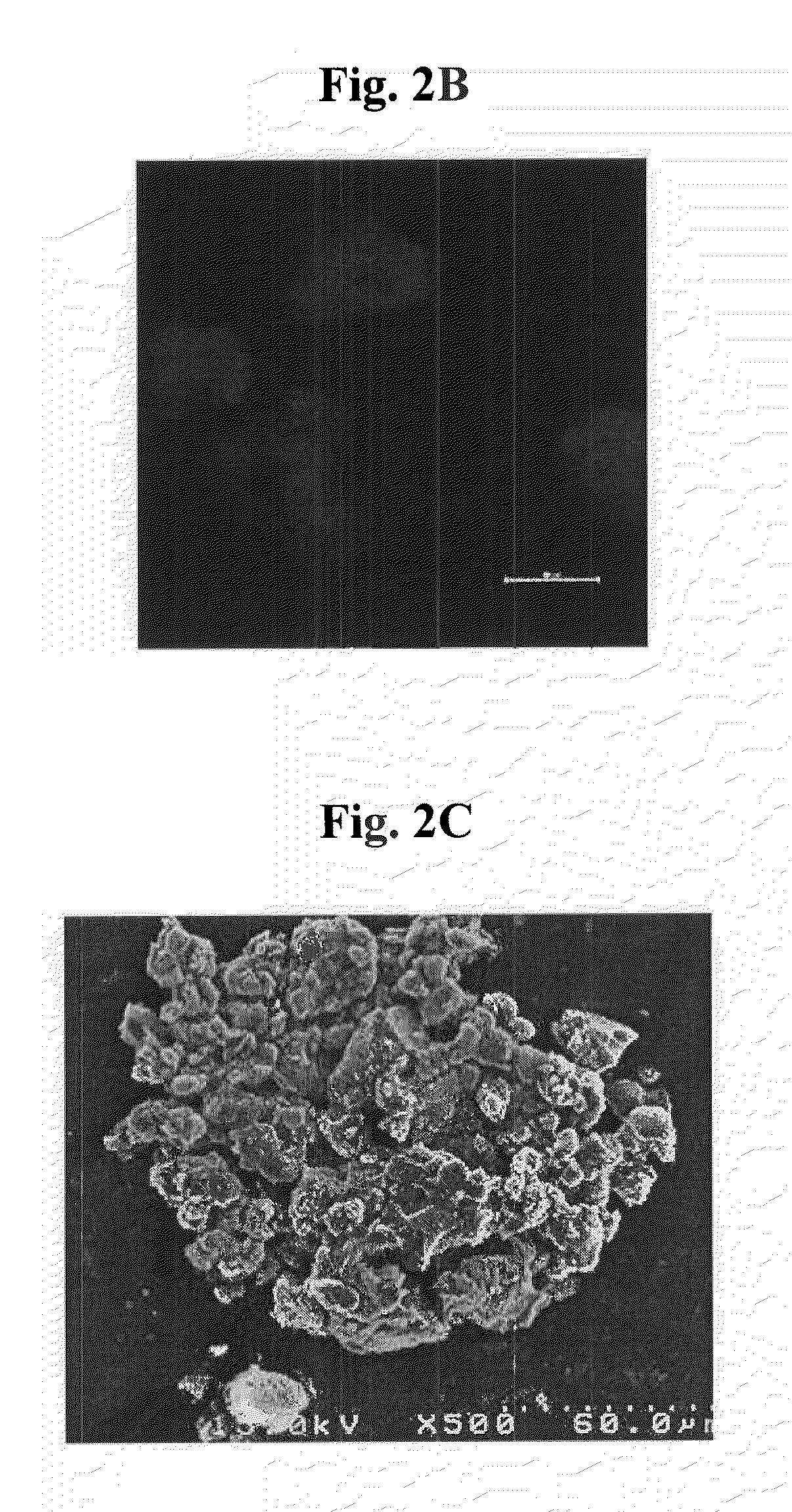 Cell aggregate-hydrogel-polymer scaffold complex for cartilage regeneration, method for the preparation thereof and composition comprising the same