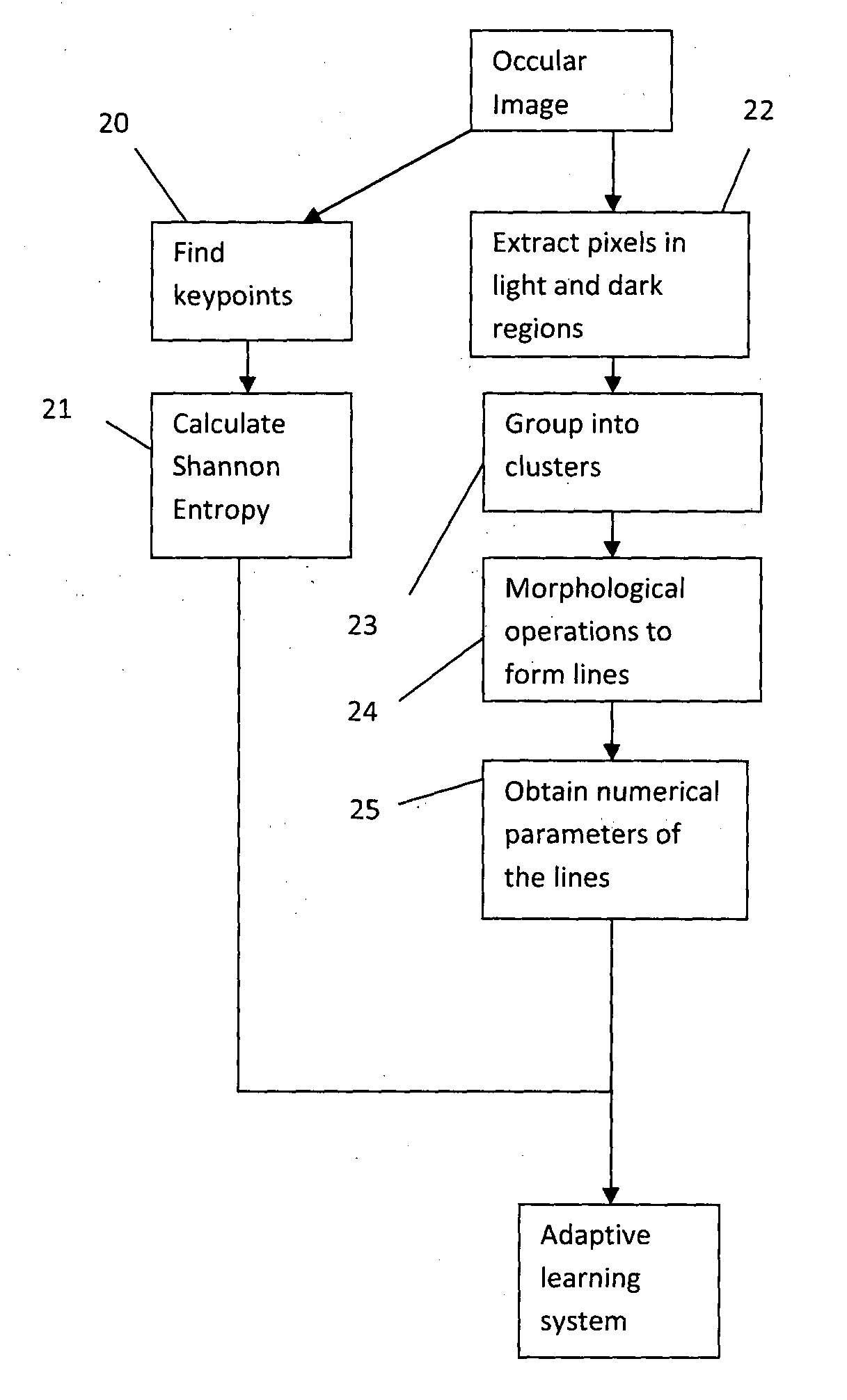 Computational methods and apparatus for meibography