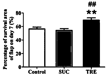 Application of trehalose in preparation of medicines for promoting survival of extra-long random flap