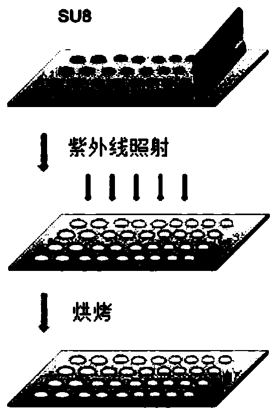 Silicon wafer template for preparing micro-lens array structure, preparation method of micro-lens array structure and protective film