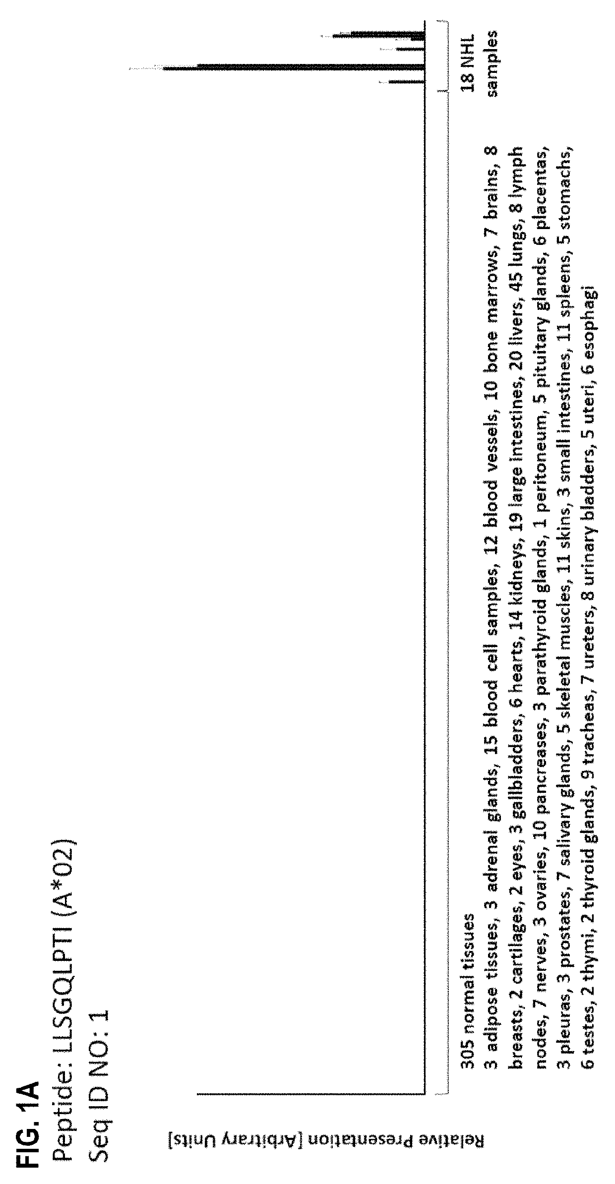 Novel peptides and combination of peptides for use in immunotherapy against nhl and other cancers