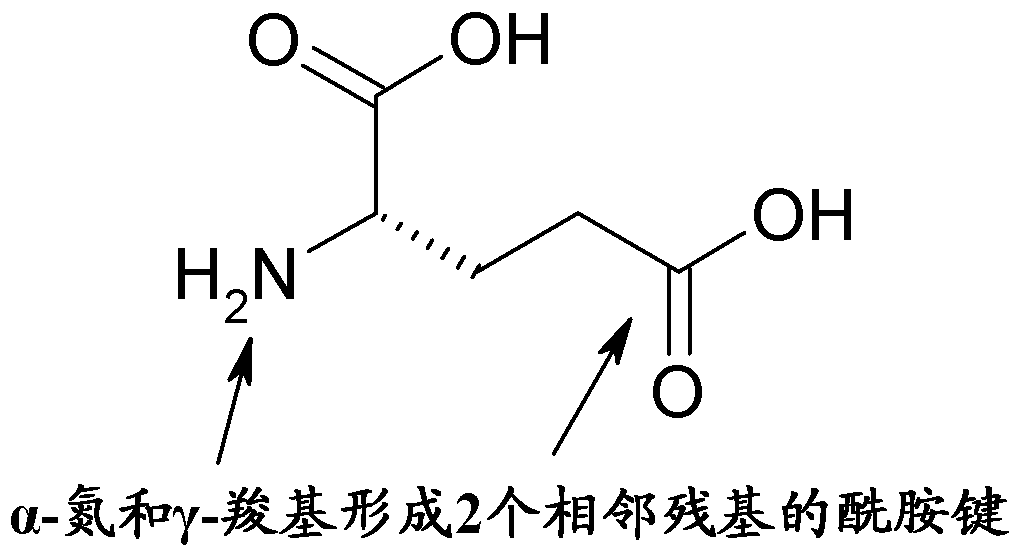 Human Amylin Analog