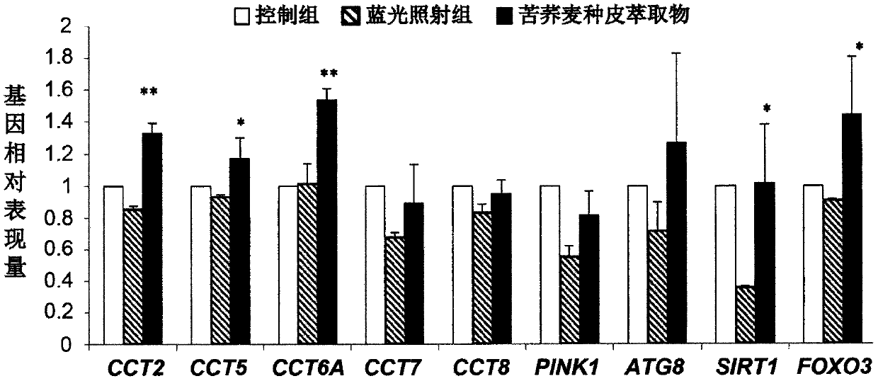 Applications of tartary buckwheat seed coat extract in mitochondrion activity improvement, anti-aging gene expression enhancement, and protein saccharification inhibition