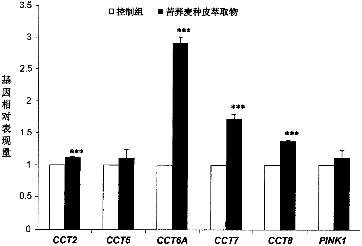 Applications of tartary buckwheat seed coat extract in mitochondrion activity improvement, anti-aging gene expression enhancement, and protein saccharification inhibition