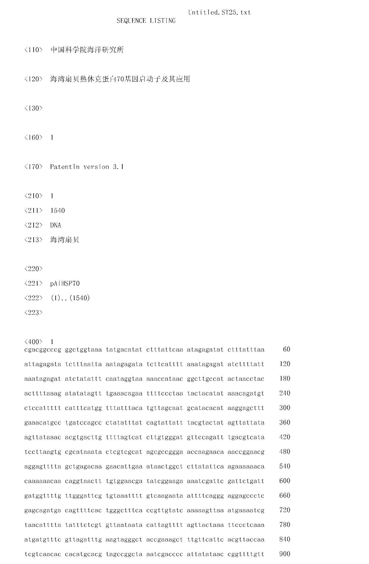 Bay scallop heat shock protein 70 gene promoter and application thereof