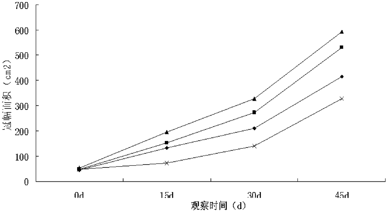 Asian osmunda cinnamomea four-step efficient spore breeding method