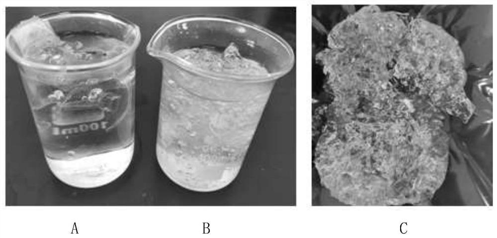 A kind of anti-abuse oral sustained-release opioid tablet and preparation method thereof