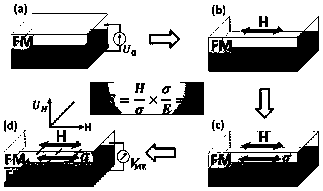 FM/FE/FM multi-iron heterojunction and magnetoelectric coupling sensor