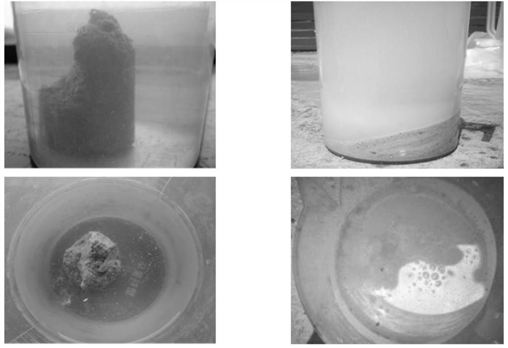 Fluid-solid coupling analog simulation material capable of reproducing cracks and preparation method