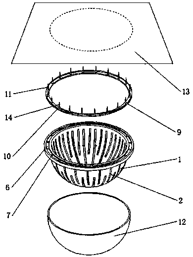 Modularized cultivating device for city green belt and construction method