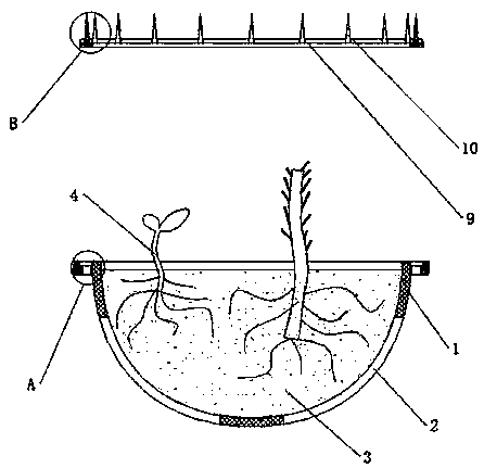 Modularized cultivating device for city green belt and construction method