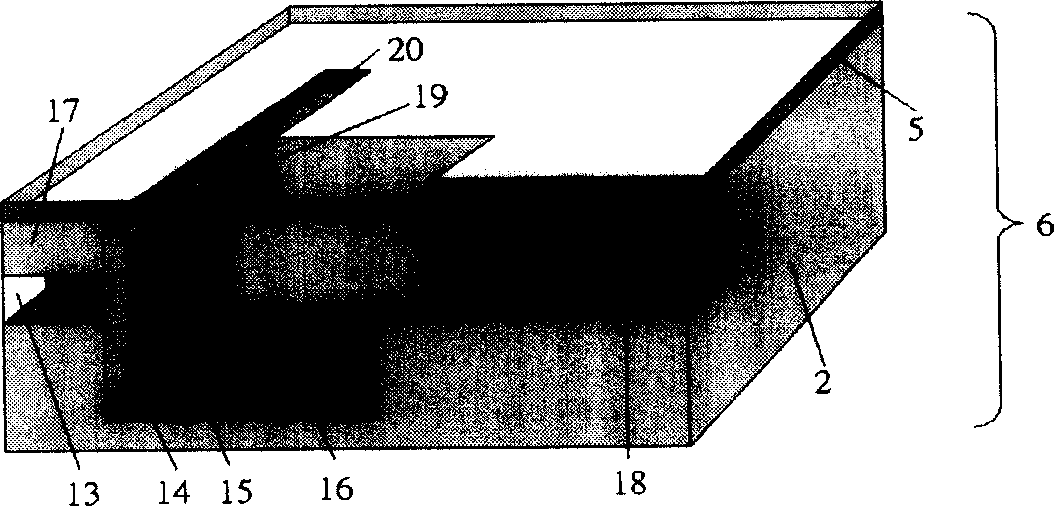 Monolithic unidirectional liquid micropump having suspension T shaped valve film micro valve