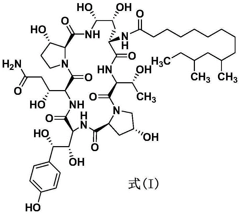 Preparation method of caspofungin