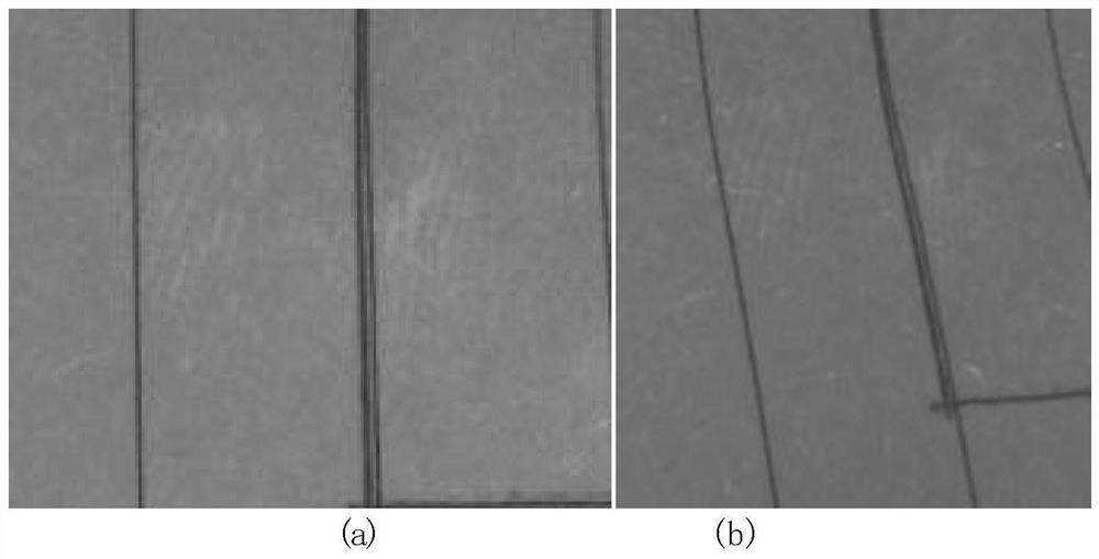 A kind of enzymatic reaction system is used for the method of latent fingerprint revealing