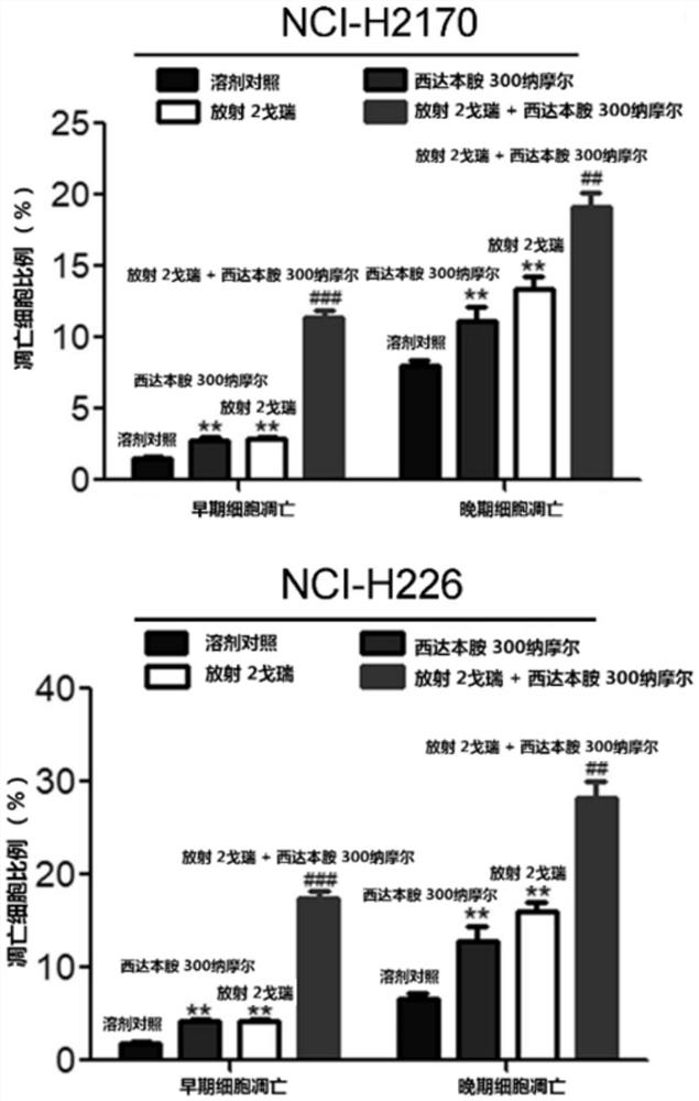 Application of chidamide and derivatives thereof