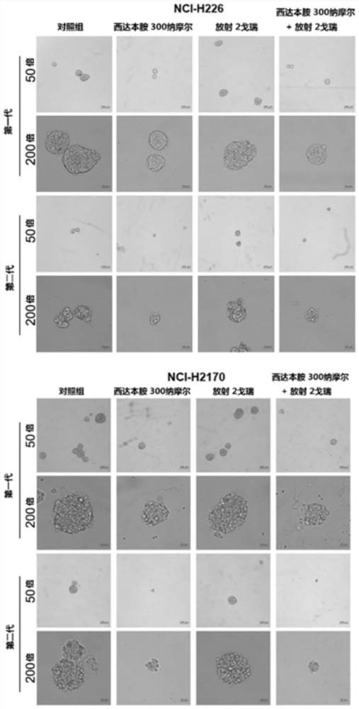 Application of chidamide and derivatives thereof