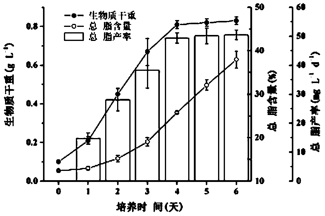 A method and device for synchronous oil production, carbon fixation, desulfurization, and denitrification using microalgae